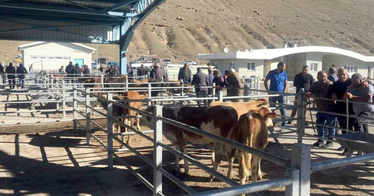 Sarıkamış’ın yeni hayvan pazarı hizmete girdi