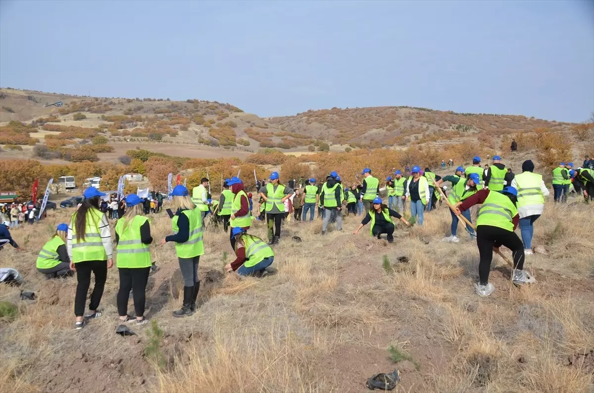 Kahramankazan’da Ağaçlandırma Etkinliği